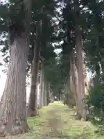 高杜神社の自然