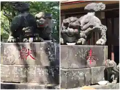 清瀧神社の狛犬