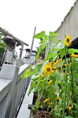 伊勢山皇大神宮(神奈川県)