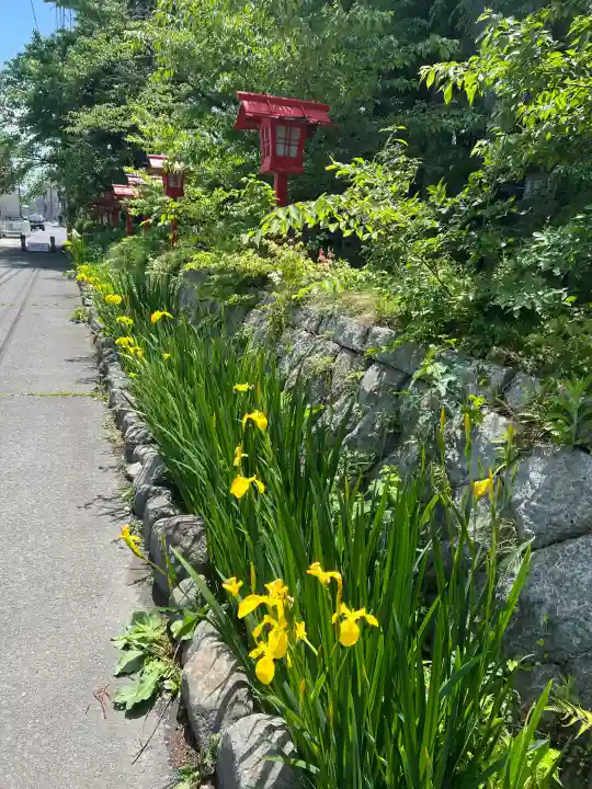 神炊館神社 ⁂奥州須賀川総鎮守⁂の{uncategorized: "未分類", other: "その他", undefined: "問題あり", building: "その他建物", grave: "お墓", sacred_gate: "鳥居", guardian: "狛犬", statue: "像", buddha: "仏像", history: "歴史", nature: "自然", garden: "庭園", animal: "動物", pagoda: "塔", temizu: "手水舎", mountain_gate: "山門・神門", sanctuary: "本殿・本堂", subordinate: "末社・摂社", art: "芸術", scenery: "景色", jizo: "地蔵", ema: "絵馬", goshuin: "御朱印", omikuji: "おみくじ", items: "授与品その他", amulet: "お守り", goshuincho: "御朱印帳", eats: "食事", festival: "お祭り", votive_dance: "神楽", shichigosan: "七五三参", wedding: "結婚式", experience: "体験その他", initially: "初詣", around: "周辺", anti_infection: "感染症対策"}