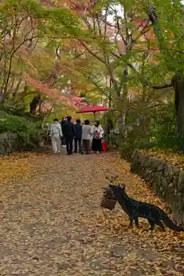 国宝　長寿寺(滋賀県)