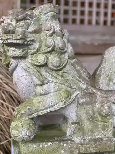 荒立神社の狛犬