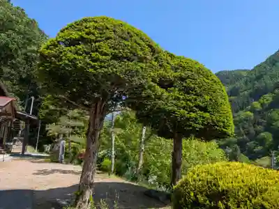 善久寺(岐阜県)