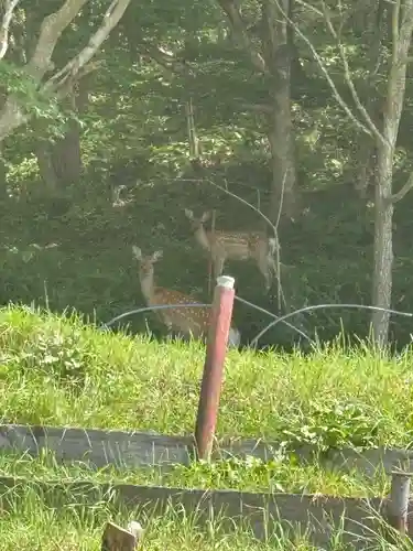 別保神社(北海道)