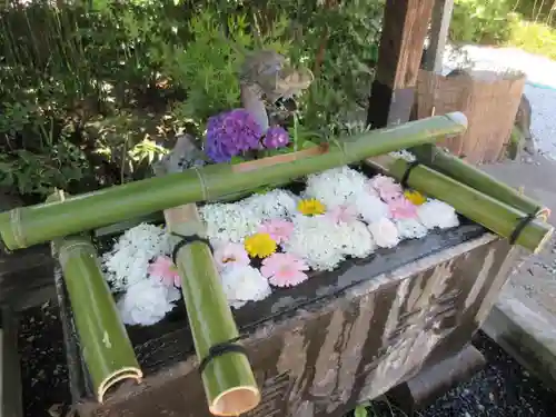 倉賀野神社の手水