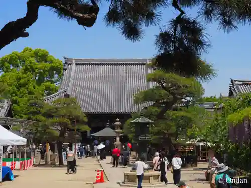 葛井寺(大阪府)