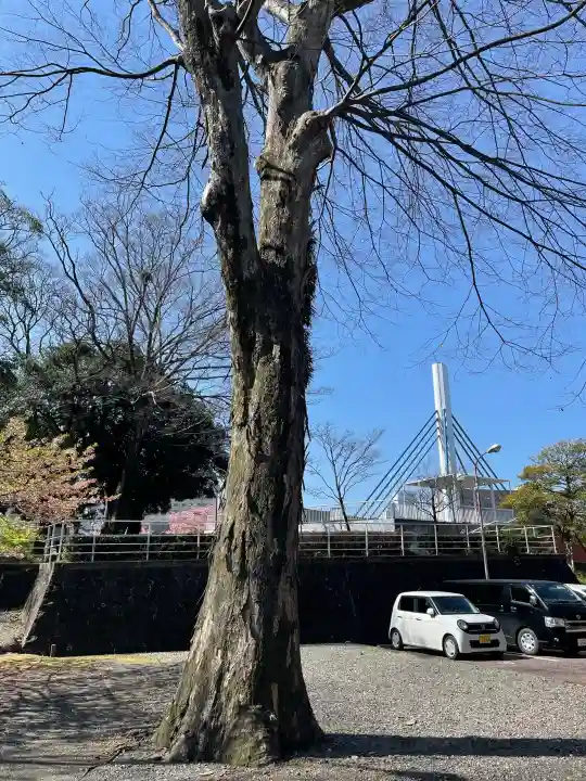 八幡神社の{uncategorized: "未分類", other: "その他", undefined: "問題あり", building: "その他建物", grave: "お墓", sacred_gate: "鳥居", guardian: "狛犬", statue: "像", buddha: "仏像", history: "歴史", nature: "自然", garden: "庭園", animal: "動物", pagoda: "塔", temizu: "手水舎", mountain_gate: "山門・神門", sanctuary: "本殿・本堂", subordinate: "末社・摂社", art: "芸術", scenery: "景色", jizo: "地蔵", ema: "絵馬", goshuin: "御朱印", omikuji: "おみくじ", items: "授与品その他", amulet: "お守り", goshuincho: "御朱印帳", eats: "食事", festival: "お祭り", votive_dance: "神楽", shichigosan: "七五三参", wedding: "結婚式", experience: "体験その他", initially: "初詣", around: "周辺", anti_infection: "感染症対策"}