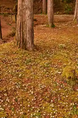 金峰神社(高知県)