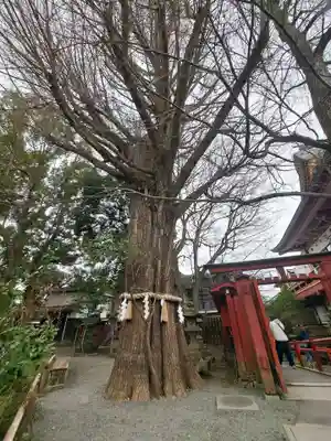 秩父神社(埼玉県)