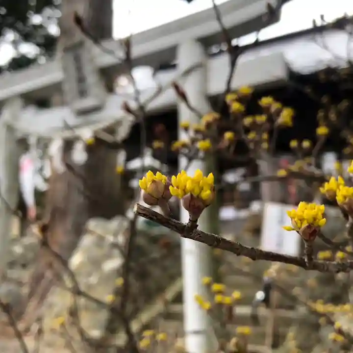 高司神社〜むすびの神の鎮まる社〜(福島県)
