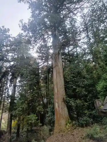 七社神社(岐阜県)