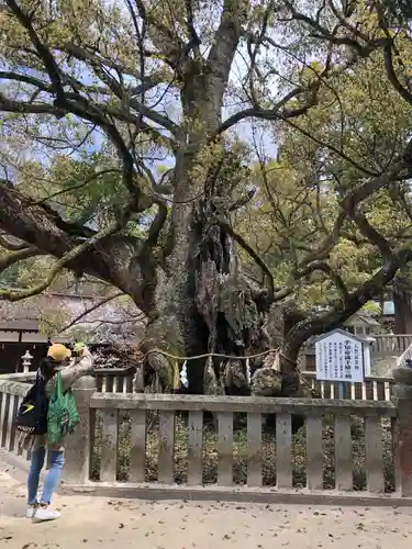 大山祇神社のその他建物