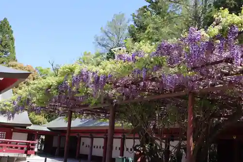 笠間稲荷神社の庭園