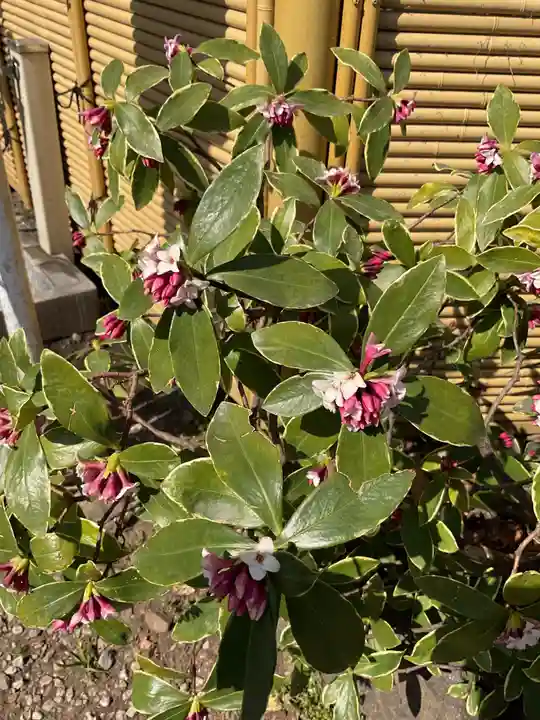 蛇窪神社(東京都)