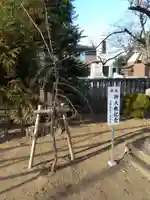 本宿天神社の自然