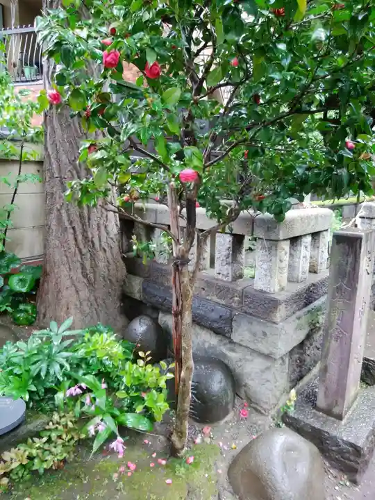 小野照崎神社(東京都)
