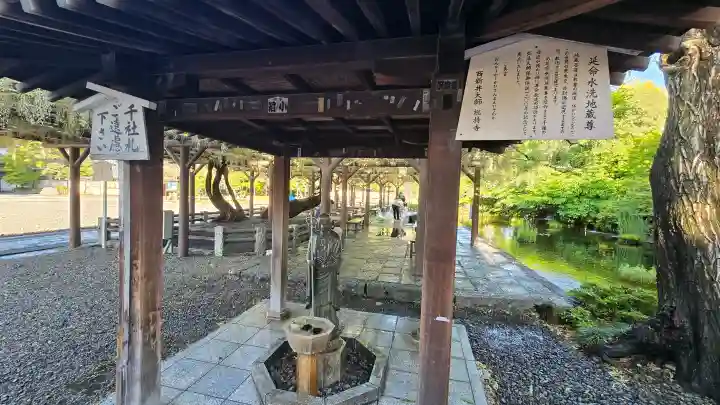 西新井大師総持寺の{uncategorized: "未分類", other: "その他", undefined: "問題あり", building: "その他建物", grave: "お墓", sacred_gate: "鳥居", guardian: "狛犬", statue: "像", buddha: "仏像", history: "歴史", nature: "自然", garden: "庭園", animal: "動物", pagoda: "塔", temizu: "手水舎", mountain_gate: "山門・神門", sanctuary: "本殿・本堂", subordinate: "末社・摂社", art: "芸術", scenery: "景色", jizo: "地蔵", ema: "絵馬", goshuin: "御朱印", omikuji: "おみくじ", items: "授与品その他", amulet: "お守り", goshuincho: "御朱印帳", eats: "食事", festival: "お祭り", votive_dance: "神楽", shichigosan: "七五三参", wedding: "結婚式", experience: "体験その他", initially: "初詣", around: "周辺", anti_infection: "感染症対策"}