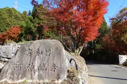 古知谷阿弥陀寺のその他建物