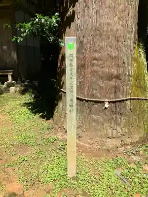大跡部神社(岐阜県)
