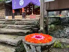 丹生都比売神社の本殿