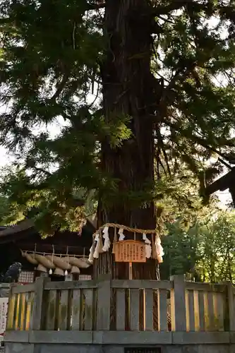 諏訪大社下社秋宮(長野県)