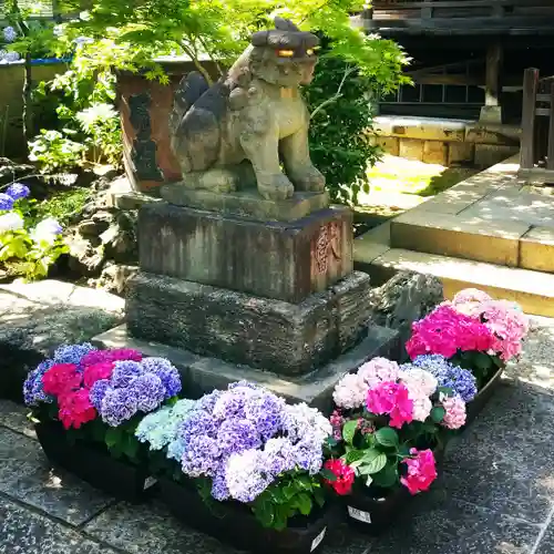 白山神社の狛犬