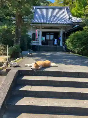 願成就院の動物