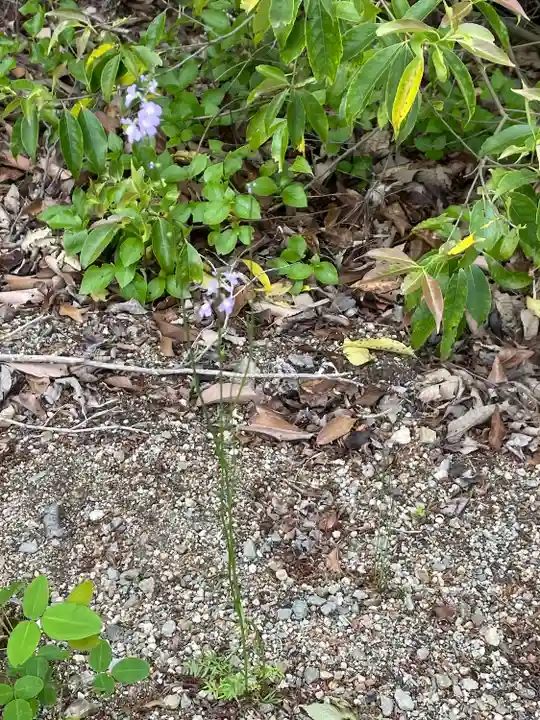 貴船神社(岡山県)