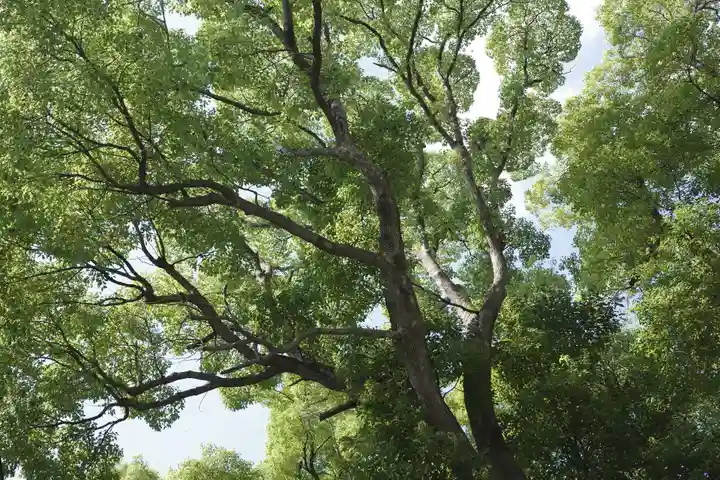 多摩川浅間神社の自然