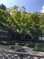 千如寺大悲王院の景色