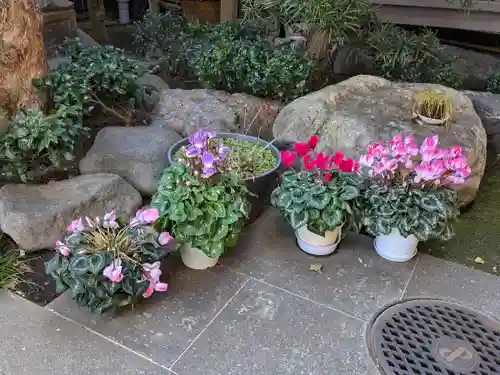 西教寺(東京都)