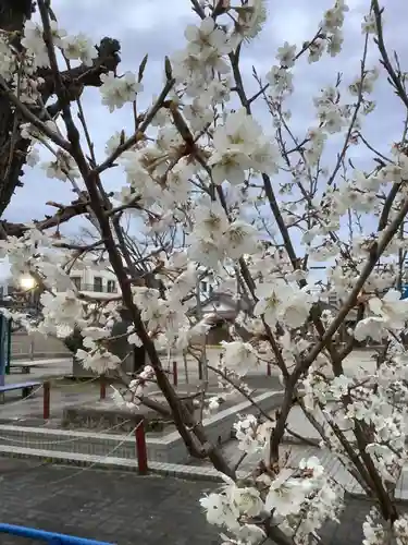 溝旗神社（肇國神社）の自然