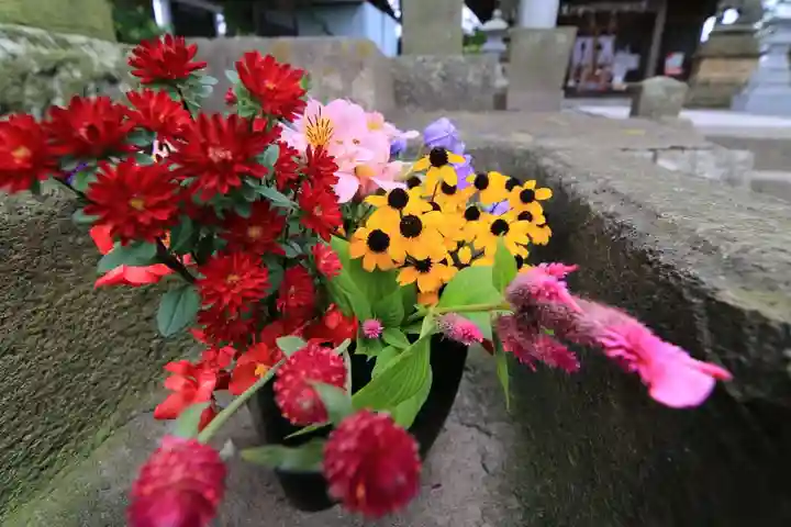 熊野福藏神社の自然