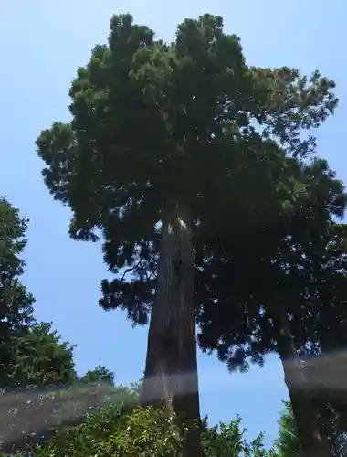 浅間神社(静岡県)