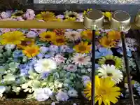 山﨑八幡宮の手水舎