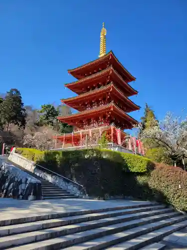 高幡不動尊　金剛寺(東京都)
