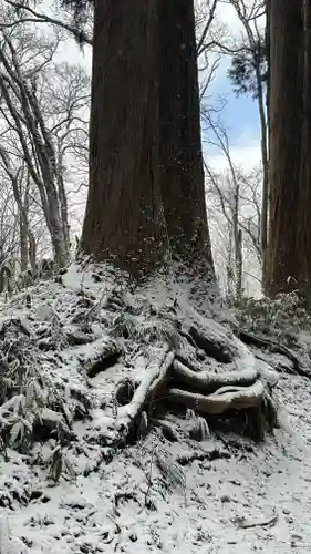 戸隠神社九頭龍社(長野県)