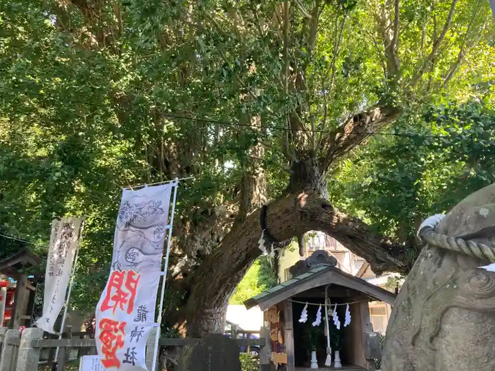 海南神社(神奈川県)