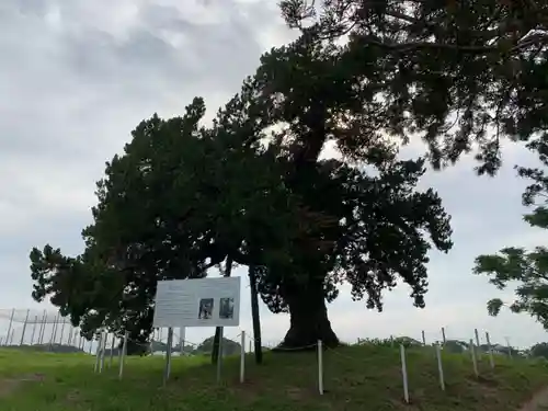 木幡神社の周辺