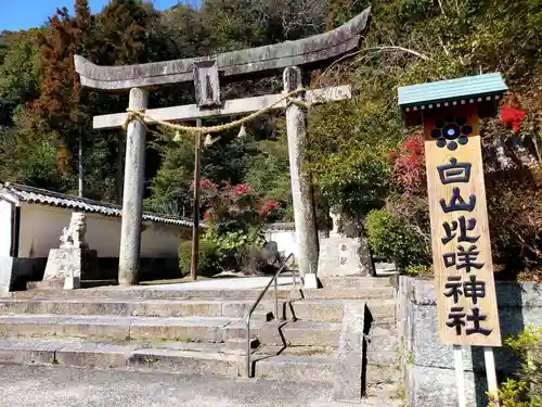 白山比咩神社の鳥居