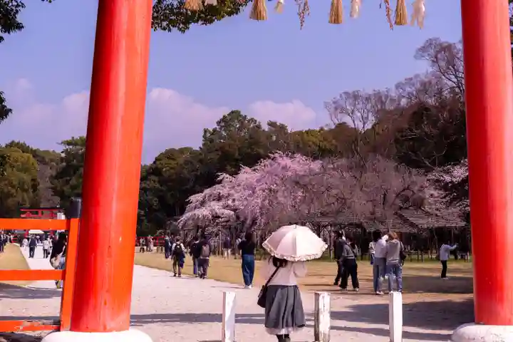 賀茂別雷神社(上賀茂神社)(京都府)