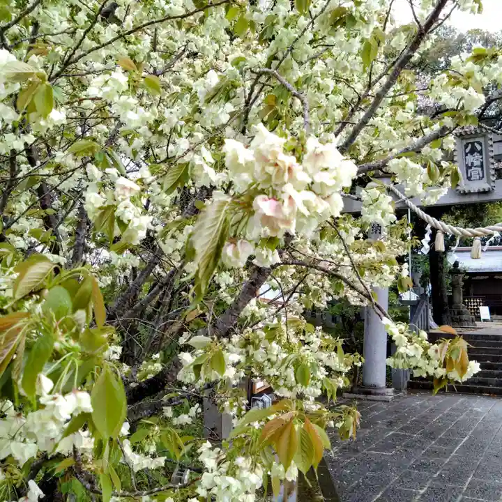上地八幡宮(愛知県)