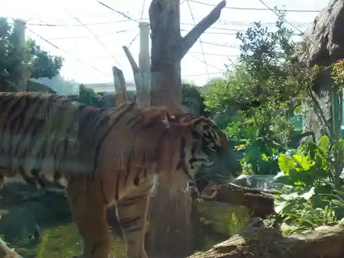 一宮神社(兵庫県)
