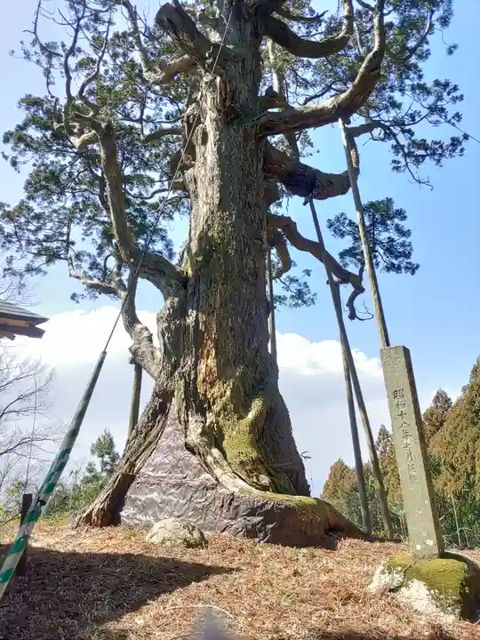 木幡山隠津島神社(二本松市)(福島県)