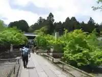 光明寺(粟生光明寺)のその他建物