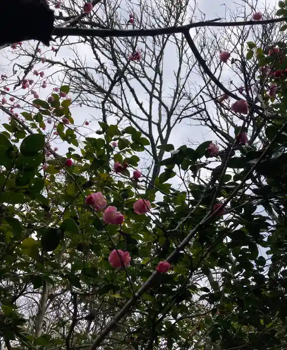 霊鑑寺門跡(京都府)