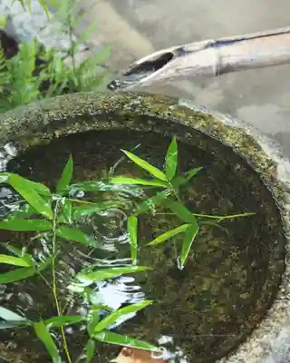 大聖護国寺(群馬県)