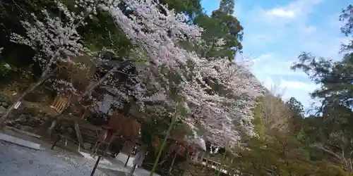 出雲大神宮の景色