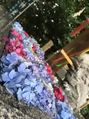 滑川神社 - 仕事と子どもの守り神の手水舎