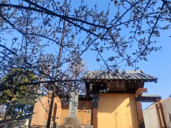 長泉寺(東京都)